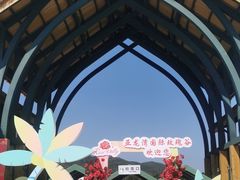 -亚龙湾国际玫瑰谷
