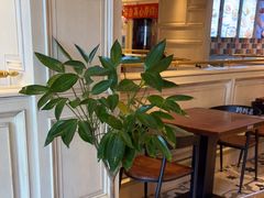 -妈妈菜舟山海鲜(定海古城店)