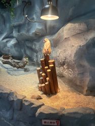 点击看大图 -Zoolung Zoolung动物主题公园(海信广场店)