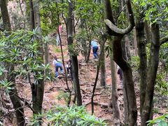 -火炉山森林公园
