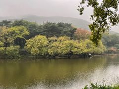 -惠山古镇·寄畅园