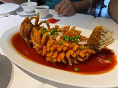 松鼠桂鱼-玫瑰厅上海菜(兴国路店)