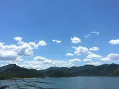 -望湖烤鱼