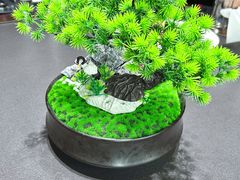 -曼格纳·曼芯馆(杨浦店)