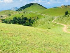 -大姆山草场
