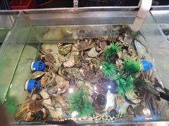 -V-ONE西雅图海鲜自助餐厅(仓山万达广场店)