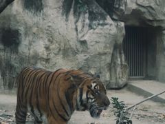 -成都动物园