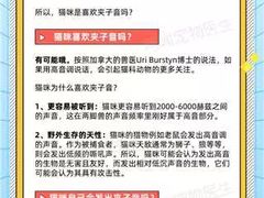 -瑞鹏宠物医院犬猫全科(真大分院)