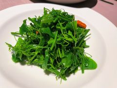 -荣轩(新荣记环球金融中心店)