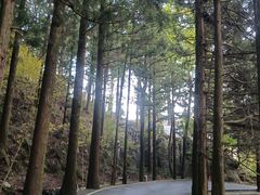 -南岳衡山风景名胜区