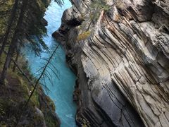 -阿萨巴斯卡瀑布观景点