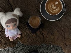 -麻雀咖啡SPARROW COFFEE(十全街店)