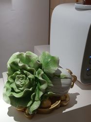 -康美贞·痘肌养护管理中心