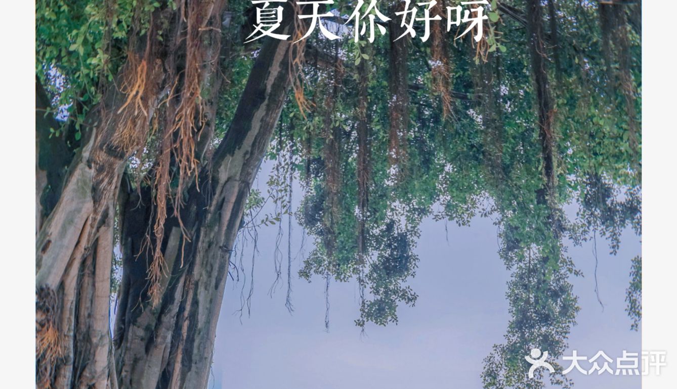 厦门拍照|来海边探-影视剧取景地