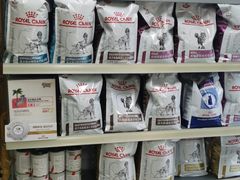 -A猫a狗全科·犬猫异宠·芥西宠物医院(南开总院)