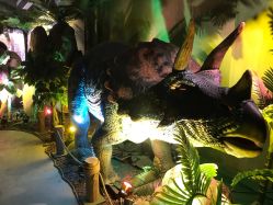 点击看大图 -恐龙探索乐园(磁器口店)