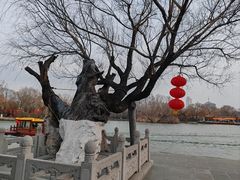 -济南大明湖景区