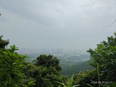 -鼎湖山风景区