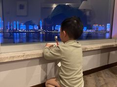 -武汉江城明珠豪生大酒店