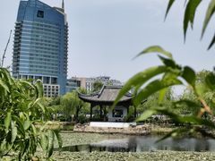 -无锡蠡湖国家湿地公园-蠡园