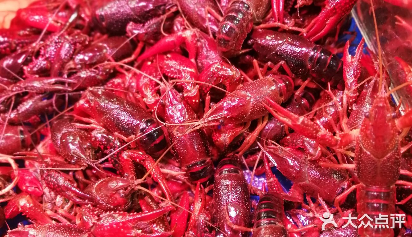 锦绣大地海鲜厅简直太赞了