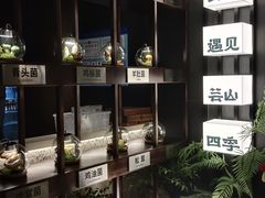 -芸山季·云南山珍菌火锅(人民广场来福士店)