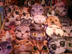 android_upload_pic-垦丁大街