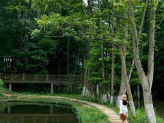 -桤木河湿地公园