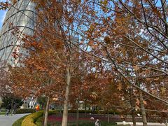 -北外滩滨江绿地