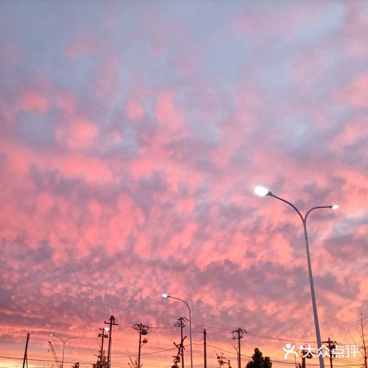 老妈今天早上拍的美丽的朝霞[愉快][强]