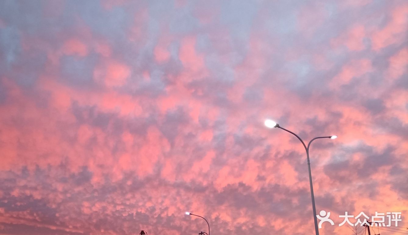 老妈今天早上拍的美丽的朝霞[愉快][强]