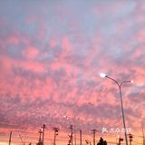 老妈今天早上拍的美丽的朝霞[愉快][强]