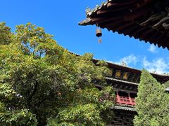 -报恩寺(平武县)