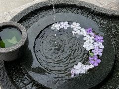-世间香境·七溪地