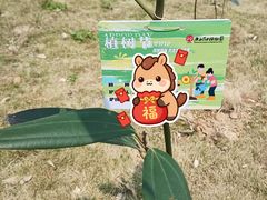 -广西壮族自治区药用植物园