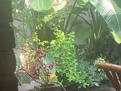 -漫笙舍Manse·咖啡·民宿