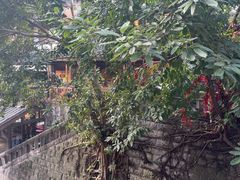 -重庆十八梯传统风貌区