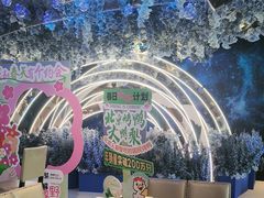 -大鸭梨烤鸭(顺义石园店)