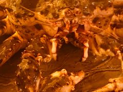 帝王蟹/斤-本逸·割烹料理(湖墅店)