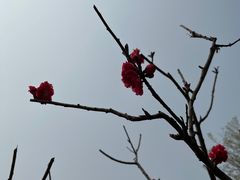 -大兴滨河森林公园