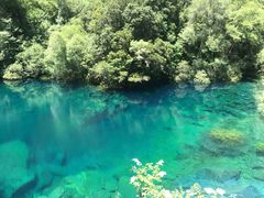 -叠溪松坪沟景区