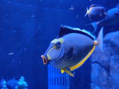 -成都浩海立方海洋公园