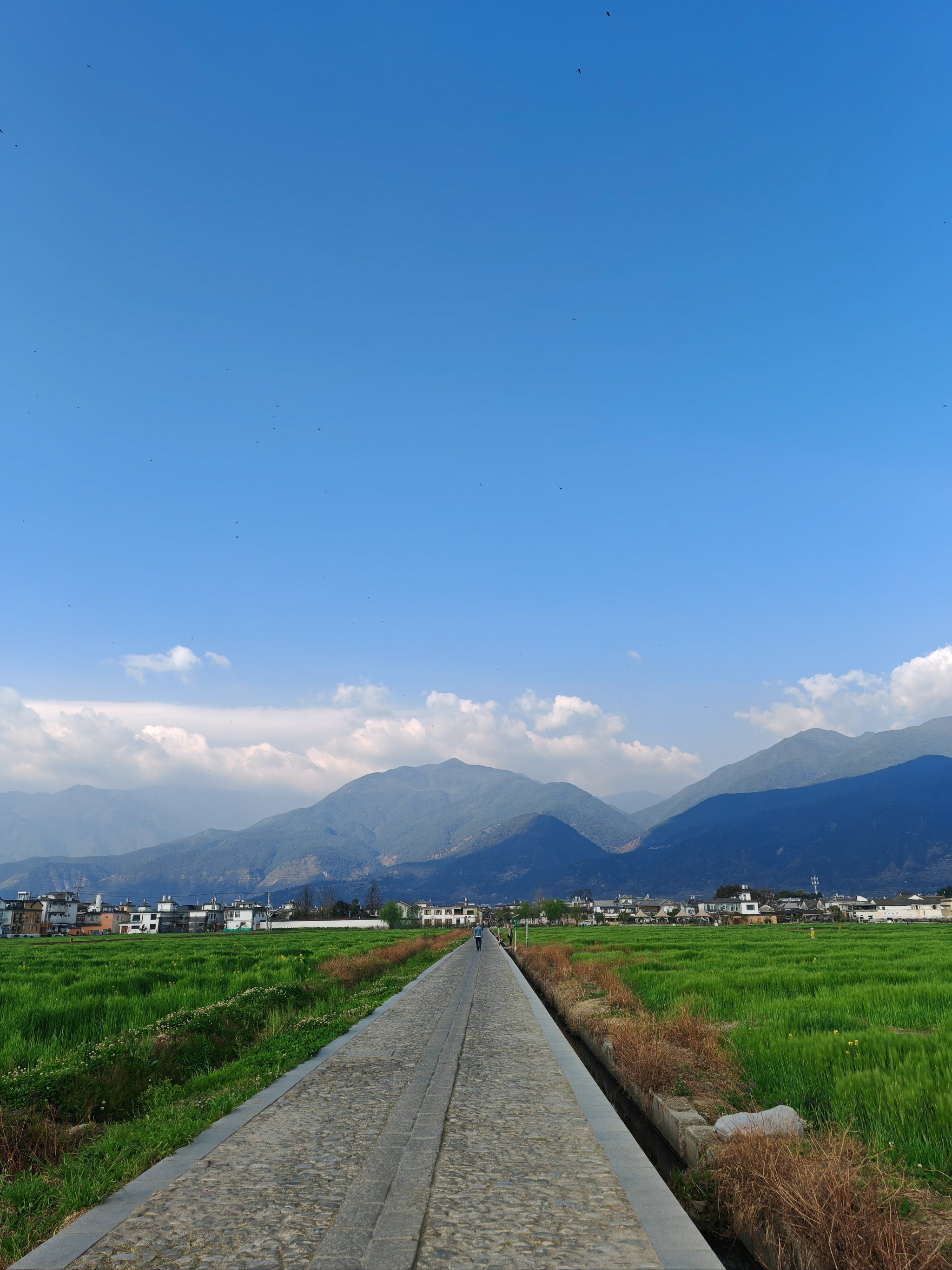 乡下的风景真实图片