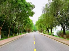 -太阳岛度假酒店