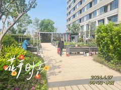 -泰康之家·申园