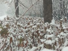 -大兴滨河森林公园