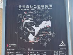 -黄贤森林公园