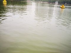 -朝阳公园游乐园