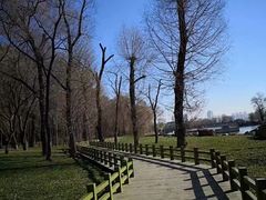 -长春市南湖公园