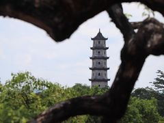 -江心屿景区